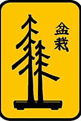 Golden State Bonsai Federation